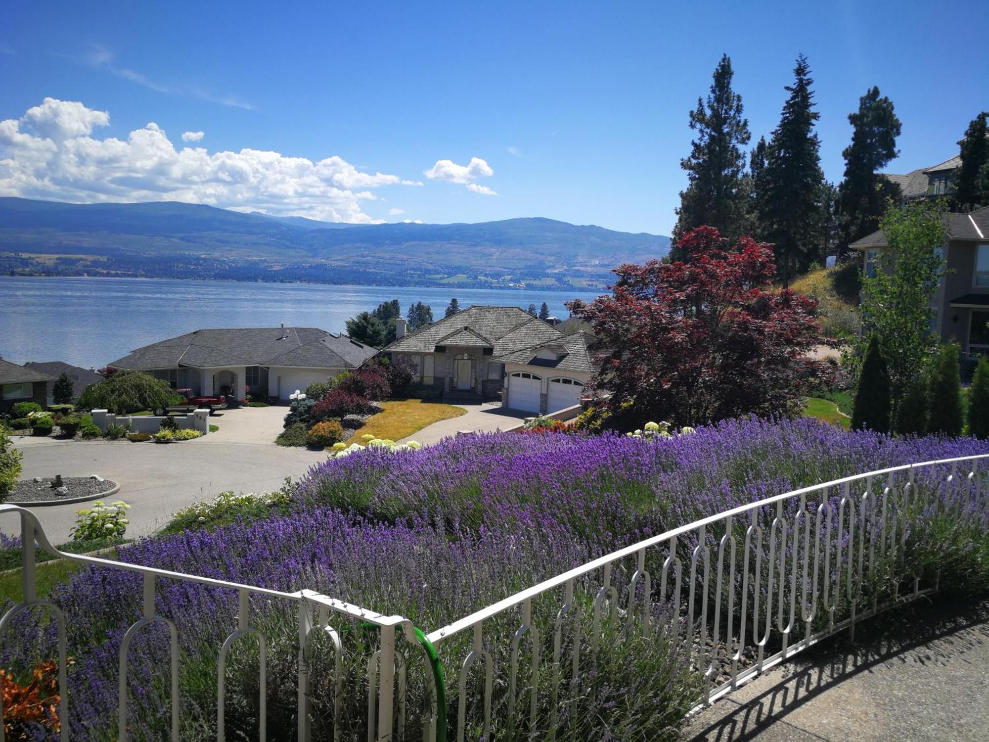 Casa Grande Lakeview House West Kelowna Camera foto